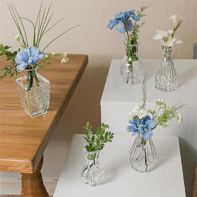 Glass Bud Vase Set of 5 Pcs Small Minimalist Vases for Flowers, Vintage Rustic Home Decor for Table Centerpiece Wedding Party, Modern Clear Aromatherapy Bottle for Living Room Bedroom