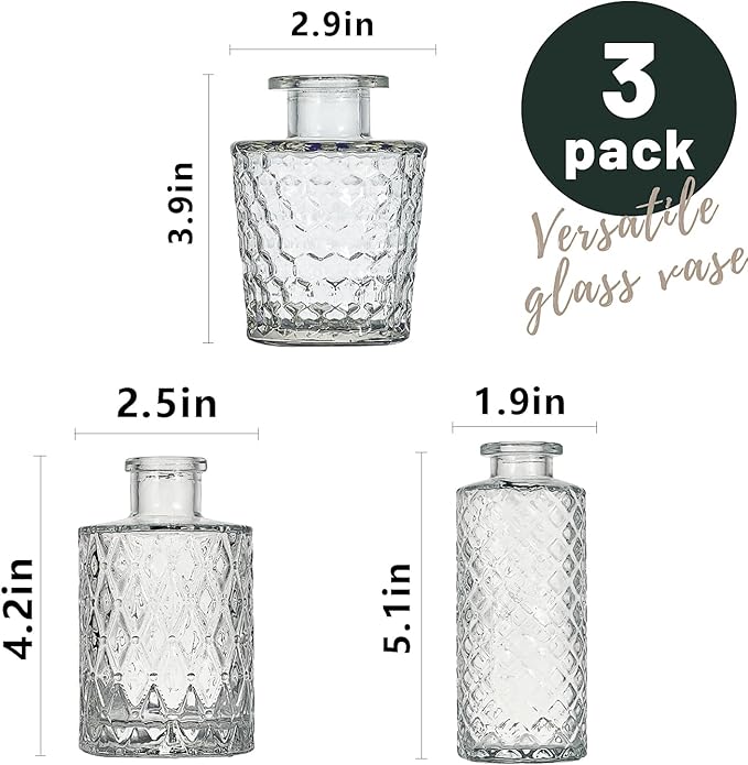 Glass Bud Vase Set of 3 Pcs Small Minimalist Vases for Flowers, Vintage Rustic Home Decor for Table Centerpiece Wedding Party, Modern Clear Aromatherapy Bottle for Living Room Bedroom