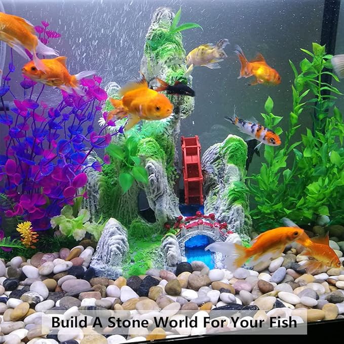 10lbs White River Rocks, 1-2 Inch Natural Pebbles for Indoor Plants, High Polished Decorative Stones Vase Filler Fish Tank Aquariums Landscaping Garden Outdoor and Indoor DIY