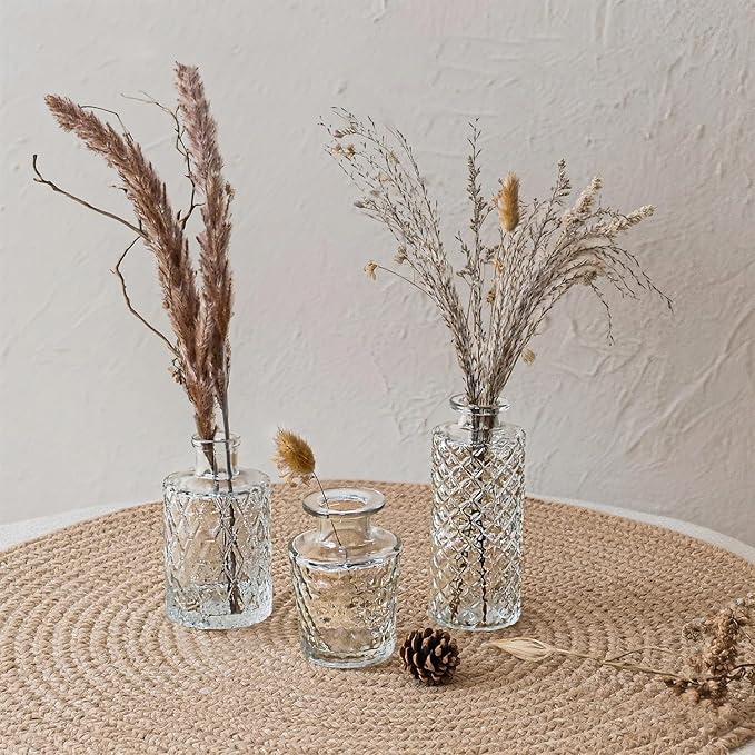 Glass Bud Vase Set of 3 Pcs Small Minimalist Vases for Flowers, Vintage Rustic Home Decor for Table Centerpiece Wedding Party, Modern Clear Aromatherapy Bottle for Living Room Bedroom