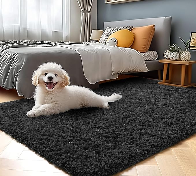 ONASAR Black Rugs for Bedroom, 3x5 Fluffy Bedside Small Area Rug, Washable Soft Plush Fuzzy Shaggy Indoor Floor Carpet for Living Room Nursery College Dorm Teen Kids Girls Boys Home Decor Aesthetic
