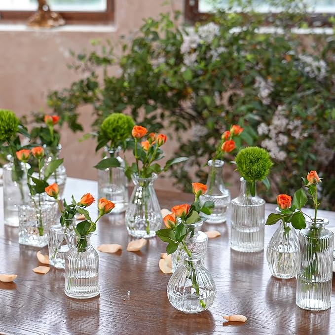 Glass Bud Vase Set of 33 Pcs Small Minimalist Vases for Flowers, Vintage Rustic Home Decor for Table Centerpiece Wedding Party, Modern Clear Aromatherapy Bottle for Living Room Bedroom