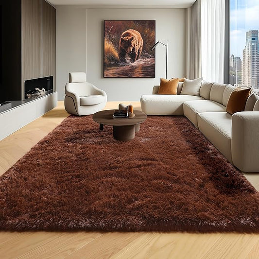 ONASAR Brown 6x9 Area Rugs for Living Room Bedroom, Washable Large Fluffy Bedside Throw Rug, Soft Plush Shaggy Fuzzy Floor Carpet for Nursery Kids Girls Boys Teen Dorm Home Office Decor Aesthetic